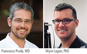 Artificial Cranial Window Being Researched to Facilitate Ultrasound Brain  Treatments