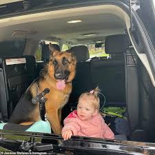 Karl stefanovic enjoyed some family bonding time with his brother peter over lunch at otto restaurant in sydney's woolloomooloo amazing pics: Jasmine Stefanovic Shares Photo Of Daughter Harper Chilling With Family Dog In Boot Of Car Geeky Craze