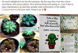 Happy birthday from a true friend who posts on your wall on days other than just your birthday! Happycustomers Don T Be Bloomey S Cactus And Succulents Facebook
