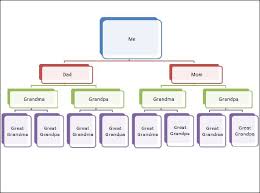 Free Genogram Template Family Tree Format Family Tree