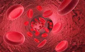 We did not find results for: Golongan Darah O Dan Risiko Penyakitnya Yang Harus Anda Ketahui