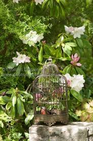 Jardin De Sonja Gauron Thomas Dupaigne Garten Diy Garten Gartengestaltung