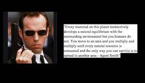 Best 15 The Matrix Movie Quotes Nsf Music Magazine