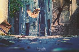 Tips for picture day frequently asked questions customer service. Magic Garden By Piroshki Photography On Deviantart