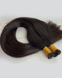 The human hair from anatomy to physiology a human hair size human hair wigs new zealand hair extension review human hair wigs with fringe uk human hair extension hair extensions: Micro Rings
