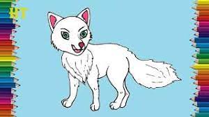 How does the arctic fox adapt to the tundra? How To Draw A Arctic Fox Step By Step