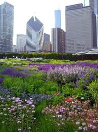 Lurie Garden Millennial Park Chicago Urban Garden Rooftop Garden Garden Bloggers