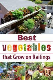 Best Vegetables That Grow On Railings Apartment Vegetable Garden Plants On Deck Garden Prepping