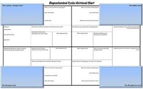 Biogeochemical Cycles Note Taking Retrieval Chart 8th