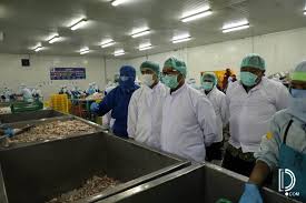 Kami adalah produsen sarung tangan pabrik yang biasa disebut sarung tangan pengantin yang terbuat dari bahan katun, nylon , polyester, yang telah berpengalaman dari tahun 2005 melayani kebutuhan pabrik kami juga membuat masker kain dan melayani berbagai macam kebutuhan safety untuk pabrik menjual: Bupati Tuban Berangkatkan Tiga Kontainer Ekspor Produk Olahan Perikanan Detakpos Com