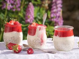 Tapioka Perlen Pudding Mit Kokosjoghurt Und Erdbeer Himbeerpuree Rezept Kokos Joghurt Tapioka Perlen Lebensmittel Essen