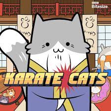 Puppycityny.com look at these karate cats ready for action! Bbc Bitesize Karate Cats Facebook