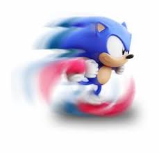  61 Ide Epin Di 2021 Tato Bunga Rose Sonic The Hedgehog Gambar Burung