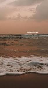  Feelzzz Vsco Beachy Wallpaper Brown Aesthetic Wallpaper Nature Aesthetic