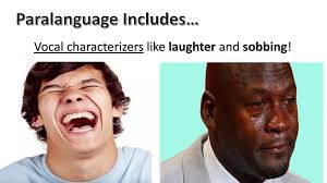 Chapter 4: Nonverbal Communication (Paralanguage and Silence) By: Zachary  Hughes