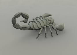 Scorpion 3d Model 3d Model Model Vr Games