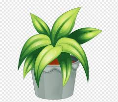 Tanaman hias rumput yang lebih umum seperti carex beraneka ragam, tanaman serat optik, rumput zebra. Tanaman Berbunga Tanaman Pot S Daun Rumput Bunga Png Pngwing