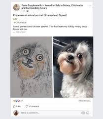 Pet portrait, custom pet portrait, pet memorial, dog portrait, custom dog portrait, cat portrait, pet loss, pet gift, pet illustration. This Artist Is Charging 40 For Her Unique Dog Drawing The Argus