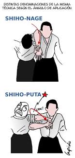 Elguindilla Lecciones De Aikido Mi Clon Malvado Aikido Martial Arts Aikido Aikido Techniques