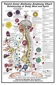 Taoist Inner Alchemy Chart Relationship Of Body Mind
