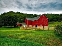 Nachrichten, videos, bilder, web, wiki Agriculture Business Plan Pdf Download New Business Plan Template For Poultry Farming