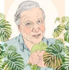 Liz Clements's Instagram, Twitter & Facebook