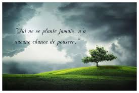 Epingle Sur Citations