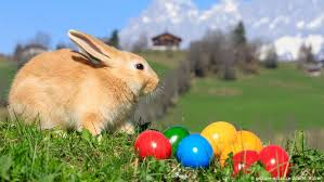 Enjoy every modern pleasure and convenience while staying at a historic mansion that is irrevocably tied to some of the greatest names in u.s. Germany S Easter Fires Deadly For Animals Warn Activists News Dw 19 04 2019