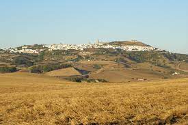 Niebawem armada wyruszyła w morze, jednak po rozproszeniu przez sztorm części statków, musiała zawinąć do portu. Medina Sidonia Wikipedia