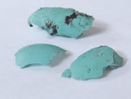 Image result for Robin Egg Blue 1972 Hussmann