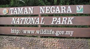 Being the only resort inside the national park boundary, it is an ideal place from which to explore the surrounding area. Mutiara Taman Negara Resort 3 Chalet Room Taman Negara National Park Malaysia