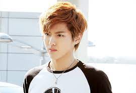 2013년 8월 6일에 데뷔하여 2013년 9월 18일 첫 번째 앨범 愛出发(애출발)을 발매하였고, 같은 해 10월 18일 1st ep repackage 앨범 heart 梦·出发(heart 몽·출발)을 발매했다. Pin On 03 10 ìš°ì´íŒ í¬ë¦¬ìŠ¤ ì—'ì†Œ Wu Yifan å´äº¦å‡¡ Kris Exo M