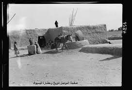 الدنك النبي يونس mesopotamia natural landmarks travel