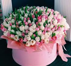 Qui puoi trovare la nostra collezione completa di bellissimi bouquet per tutte le occasioni. Pin Di Live Life Incontrol Su 8 March Fiori Di Compleanno Immagini Di Fiori Bellissimi Fiori