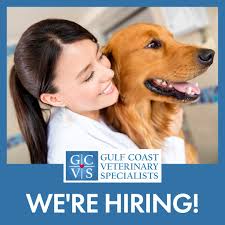 Rene Musgrove (@renemsgrv)