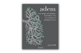 Home Shine Ademhalingstechnieken Ademhalings Stress