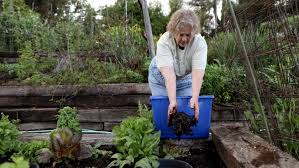 We did not find results for: Must Reads The One Gardening Mistake You Can T Afford To Make Los Angeles Times