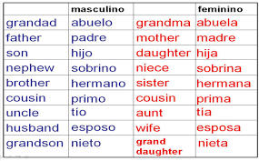 Deberes Vocabulario La Familia Homework Family Vocab Para El 12 De Enero Year 7 Spanish