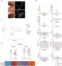 Member since dec 29,2007 has 30 images, 2594 friends on model mayhem. Post Infectious Inflammatory Disease In Mis C Features Elevated Cytotoxicity Signatures And Autoreactivity That Correlates With Severity Medrxiv