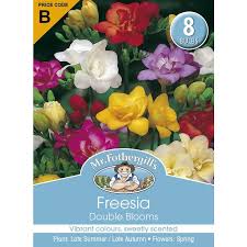 Maybe you would like to learn more about one of these? Mr Fothergill S Bulbs Freesia Double Blooms 8 Bulbs Mitre 10