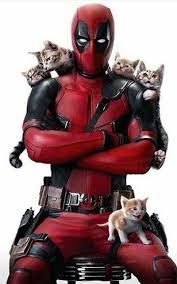 Deadpool Wallpaper Hd 1080p Free Download For Mobile In 2020 Deadpool And Spiderman Deadpool Wallpaper Deadpool