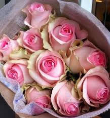 prilagodljivost povecati otoka صور ورد ملون goldstandardsounds com