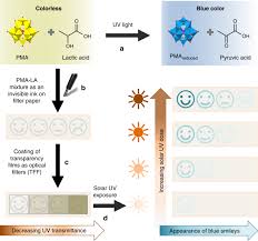 Cosmética natural hecha con aove productos artesanos gourmet vinos aceites. Skin Color Specific And Spectrally Selective Naked Eye Dosimetry Of Uva B And C Radiations Nature Communications