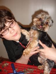 Hundesalon-Halle "Molly & Felix"