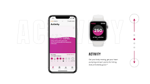 Pin On Anthem Engagement Project