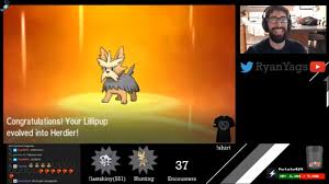 shiny lillipup via sos evolves into herdier in pokemon sun and moon crazy good ivs