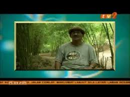 Kumpulan mantra bulu perindu menurut kegunaannya. Kegunaan Buluh Rebung Buluh Madu Rumah Buluh Batu Buluh Kasap Ketupat Daun Buluh Youtube