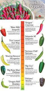 We did not find results for: Hot Pepper Guide Hot Pepper Varieties With Average Scoville Units Discover More At Www Burpee Com Stuffed Hot Peppers Stuffed Peppers Hot Peppers Plants