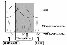 Cell migration and neuronal differentiation: signaling programs in space  and time