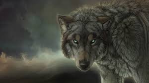 We have 64+ background pictures for you! Wolf Desktop Wallpapers On Wallpaperdog